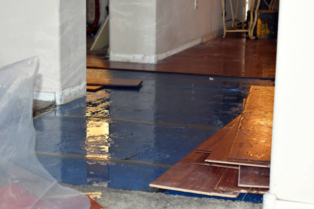 Professional Basement Water Removal technician working in Wren, OH